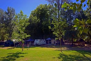 Ardern's Caravan Park Myrtleford - WA Accommodation