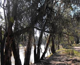 Mia Forest Drives Narrandera - WA Accommodation