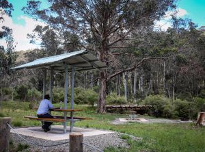 Barrington Tops State Forest - WA Accommodation